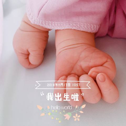 journal_insert_pic_1095869683