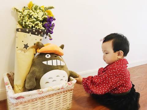 journal_insert_pic_1095655297