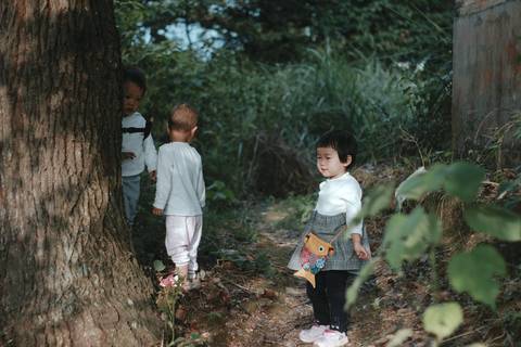 journal_insert_pic_1095862736