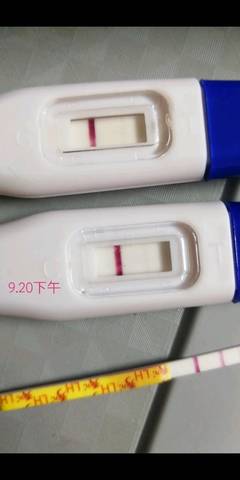 journal_insert_pic_1096339558