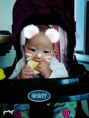 journal_insert_pic_1096215508