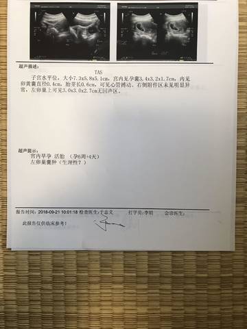 journal_insert_pic_1096894562