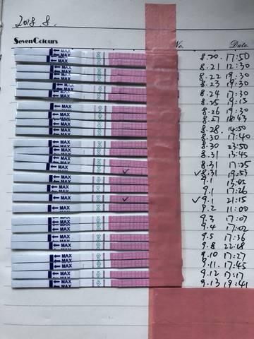journal_insert_pic_1096819273