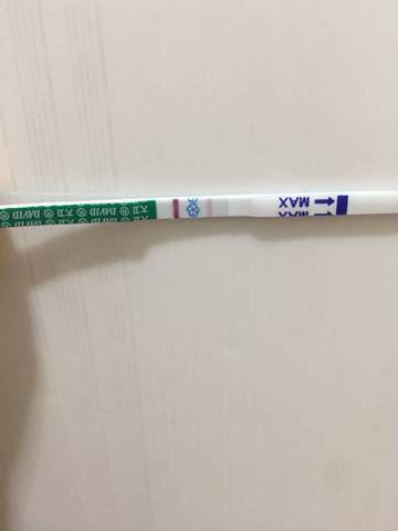 journal_insert_pic_1097127512
