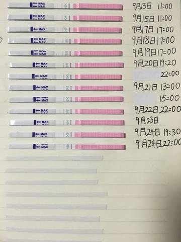 journal_insert_pic_1098727741