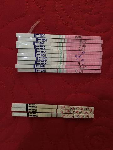journal_insert_pic_1098355734