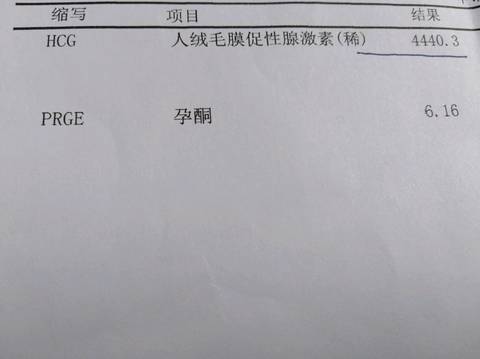 journal_insert_pic_1099079261