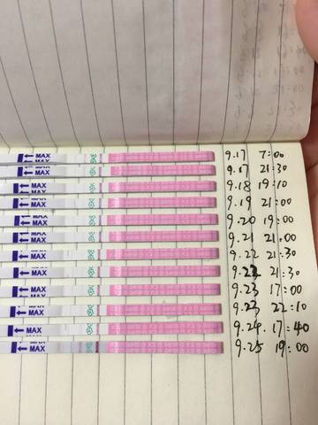 journal_insert_pic_1099916224
