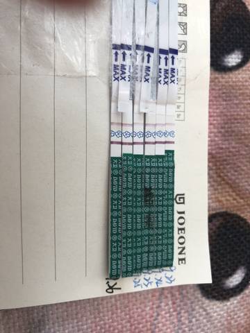 journal_insert_pic_1099576339