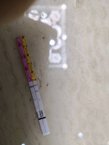 journal_insert_pic_1101111697