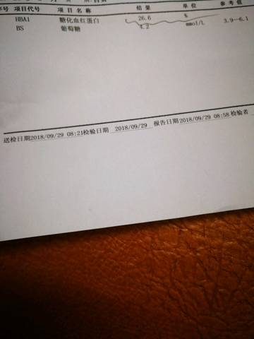 journal_insert_pic_1101557311