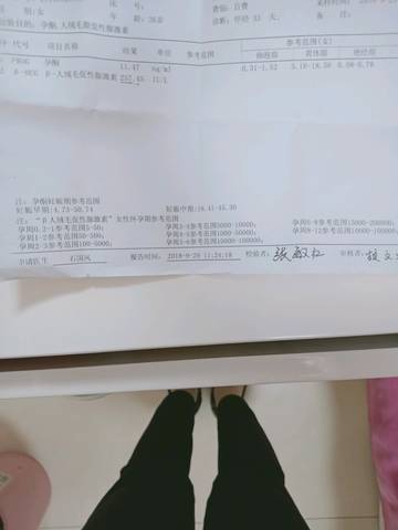 journal_insert_pic_1101734870