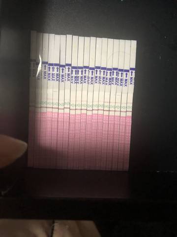 journal_insert_pic_1101481221