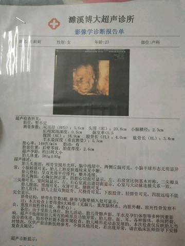 journal_insert_pic_1102709402