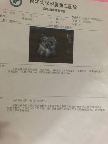journal_insert_pic_1102552492