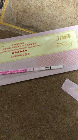journal_insert_pic_1102934862