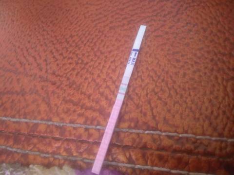journal_insert_pic_1103844513