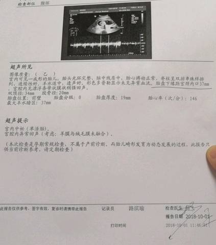 journal_insert_pic_1104250273