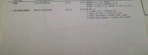 journal_insert_pic_1104015044