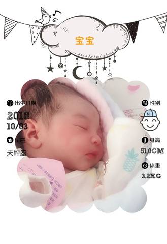 journal_insert_pic_1104316230