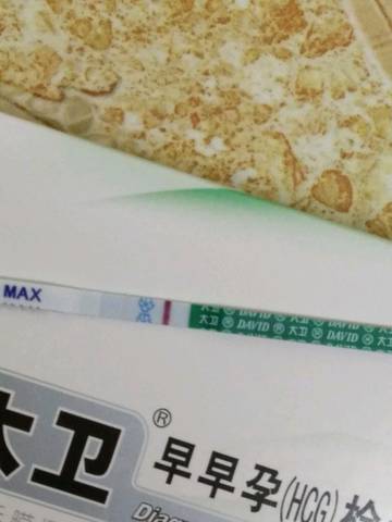 journal_insert_pic_1104340859