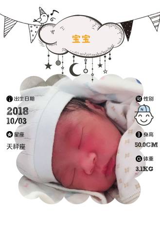 journal_insert_pic_1105141796