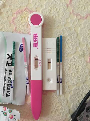 journal_insert_pic_1105950343
