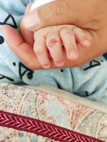 journal_insert_pic_1105934630