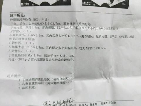journal_insert_pic_1106202490