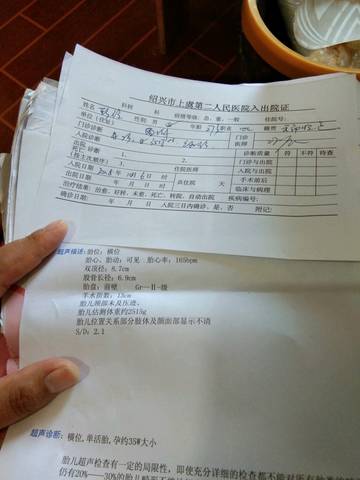 journal_insert_pic_1106012671