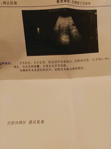 journal_insert_pic_1106994016