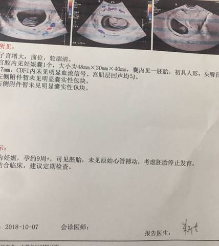 journal_insert_pic_1107096506