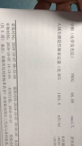 journal_insert_pic_1107049576