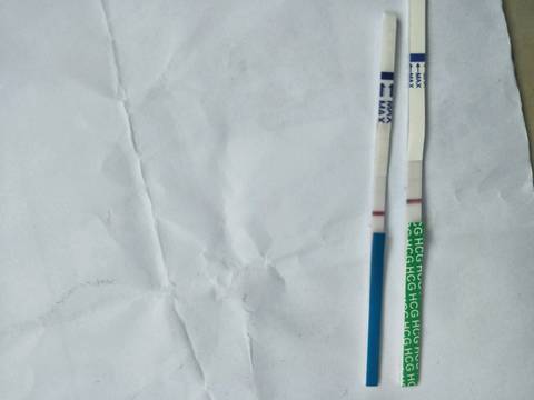 journal_insert_pic_1106885832
