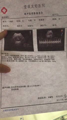 journal_insert_pic_1106810410