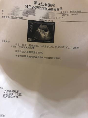 journal_insert_pic_1107947062