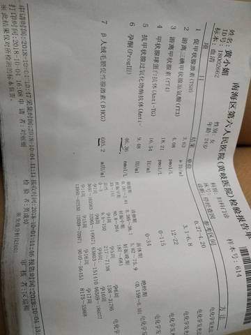 journal_insert_pic_1107964308