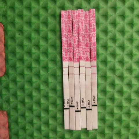 journal_insert_pic_1107843998