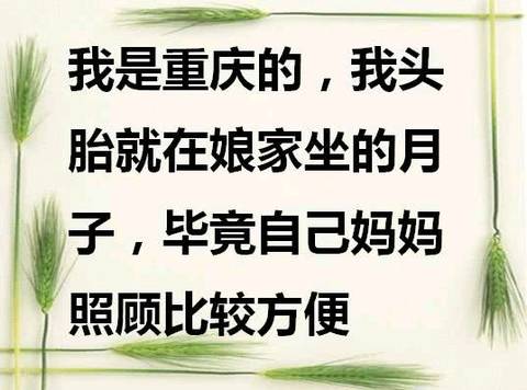 journal_insert_pic_1108367633