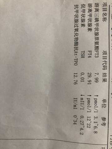 journal_insert_pic_1108778064