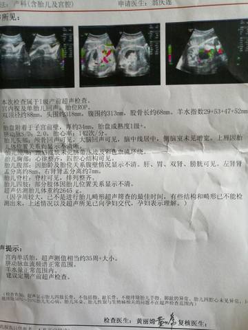 journal_insert_pic_1108509973