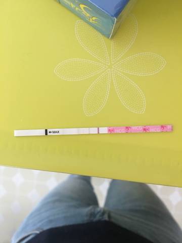 journal_insert_pic_1108351439