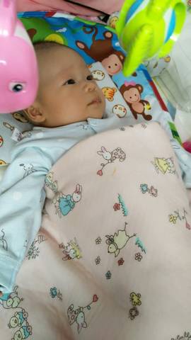 journal_insert_pic_1109272407