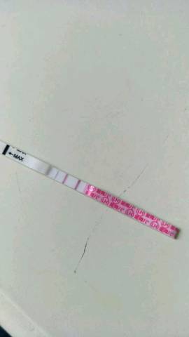 journal_insert_pic_1110117284