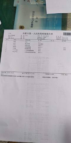 journal_insert_pic_1109860283