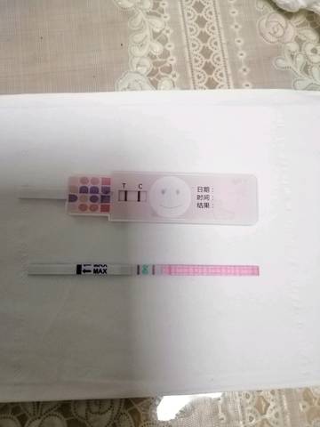 journal_insert_pic_1110678163