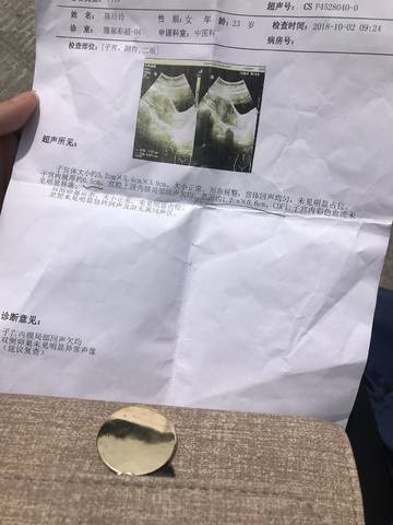 journal_insert_pic_1110333833