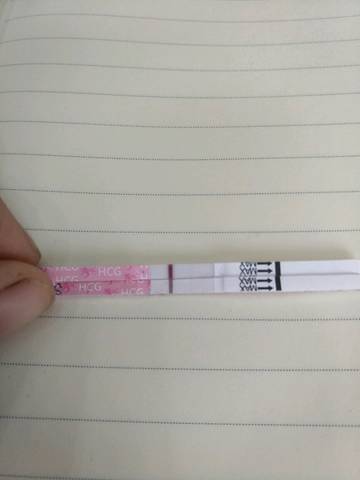 journal_insert_pic_1110230851