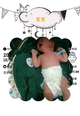journal_insert_pic_1111077356