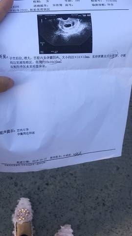 journal_insert_pic_1110895265